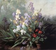 Barbara Bodichon Landscape with Irises Germany oil painting reproduction